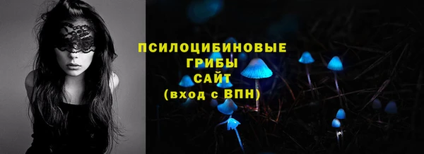 PSILOCYBIN Елизово