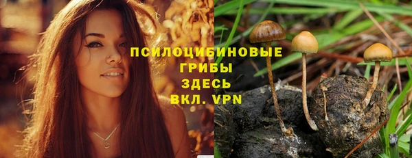 прущие крисы Осташков